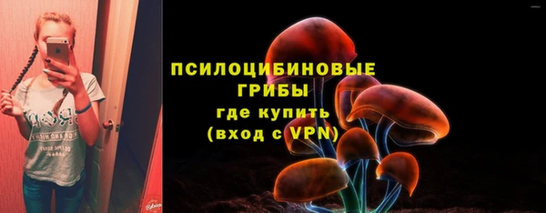 эйфоретик Магадан