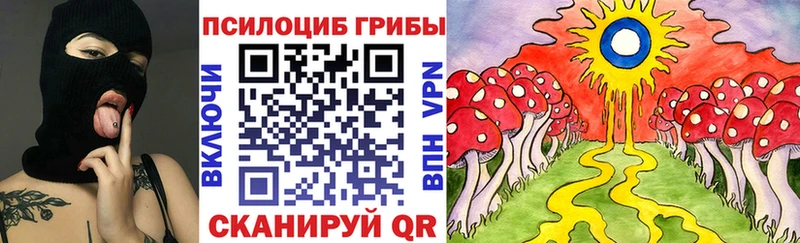 Псилоцибиновые грибы прущие грибы Знаменск
