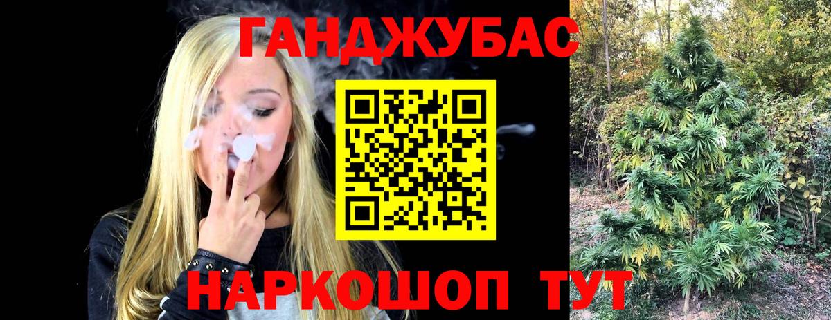 Знаменск  Канабис план  Конопля индика  Конопля White Widow  Вход с VPN 